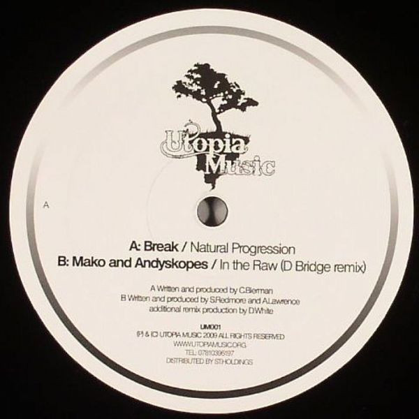 Natural Progression / In The Raw (D Bridge Remix)