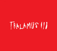 Thalamus III