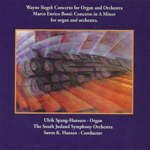 Concerto For Organ And Orchestra : Organ Concerto In A Minor, Op. 100