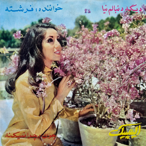 چون و چرا نمیکنه - دیگه دنبالم نیا
