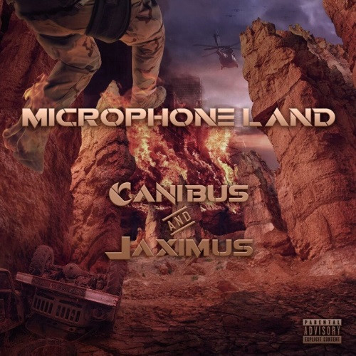 Microphone Land