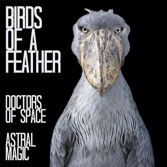 Birds Of A Feather: Stars Above /  Ghouls 'N' Shit 