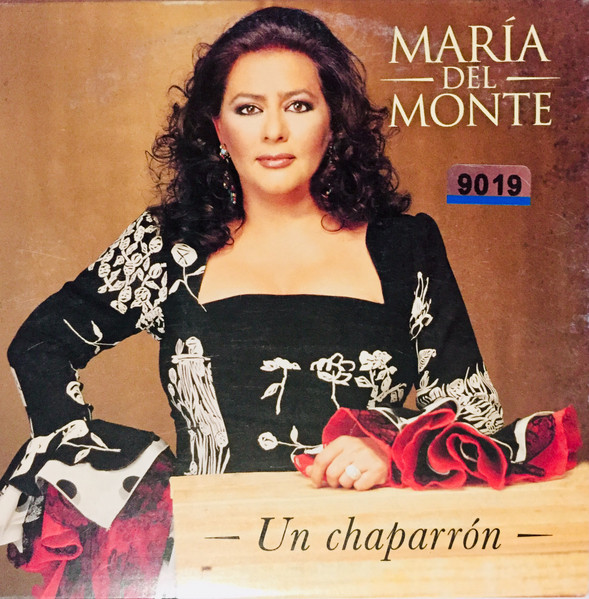 Un Chaparrón