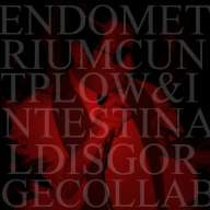 Endometrium Cuntplow / Intestinal Disgorge