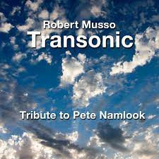 A Tribute To Pete Namlook