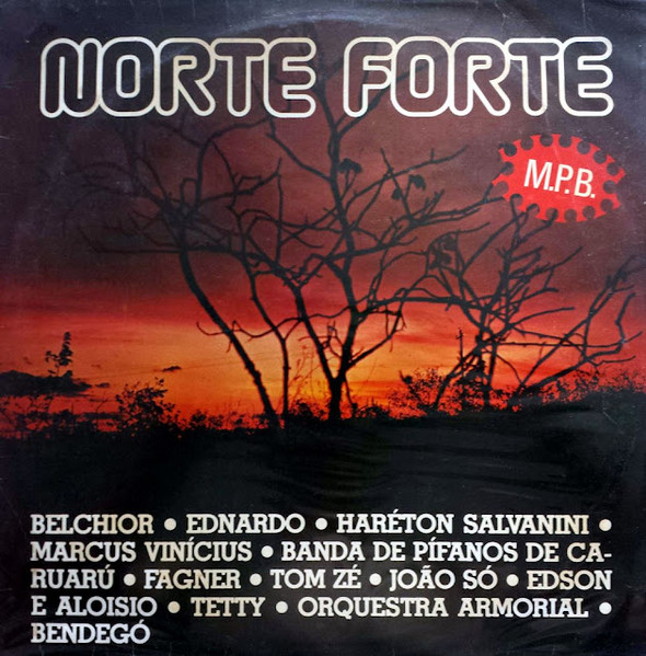 Norte Forte