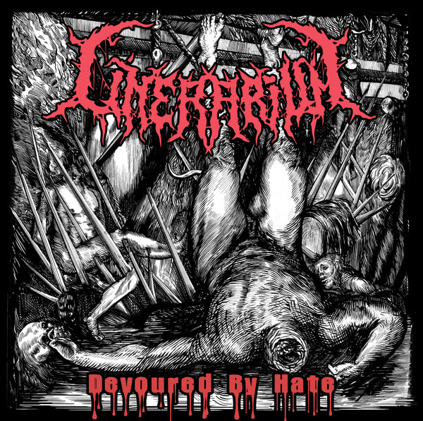 Devoured By Hate / Severe Facial Collisions