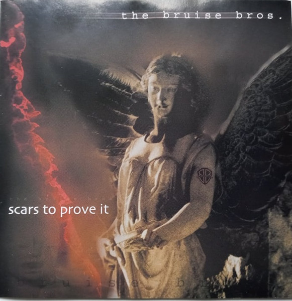 Scars To Prove It