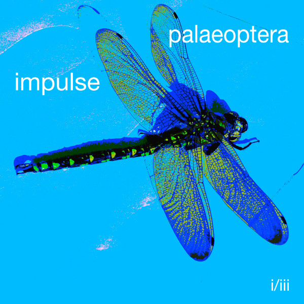 Palaeoptera 1/3