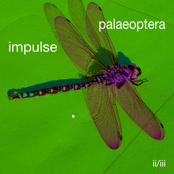 Palaeoptera 2/3