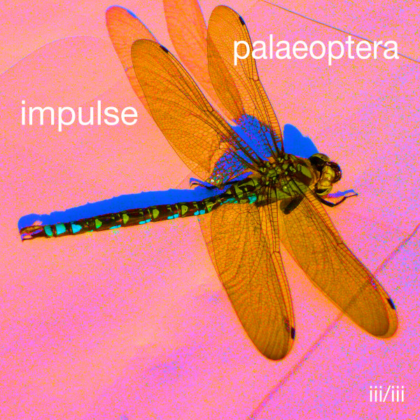 Palaeoptera 3/3