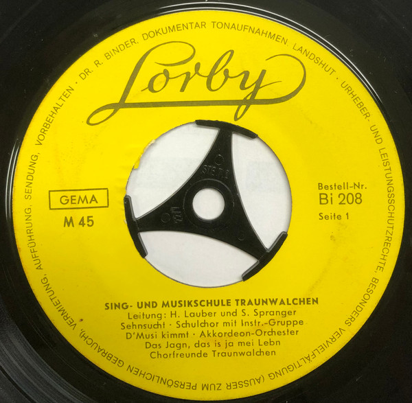 Sing- Und Musikschule Traunwalchen