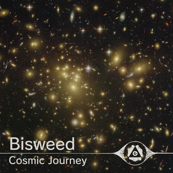 Cosmic Journey