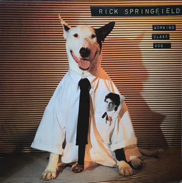 Working Class Dog