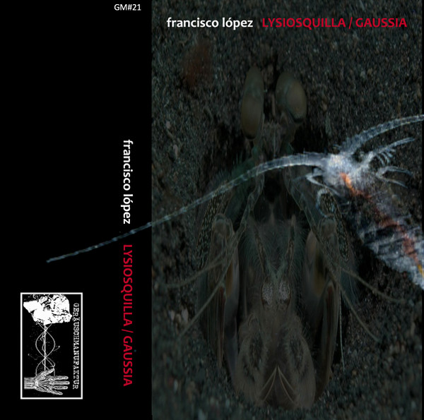 Lysiosquilla / Gaussia