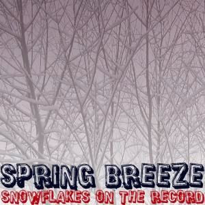 Snowflakes On The Record