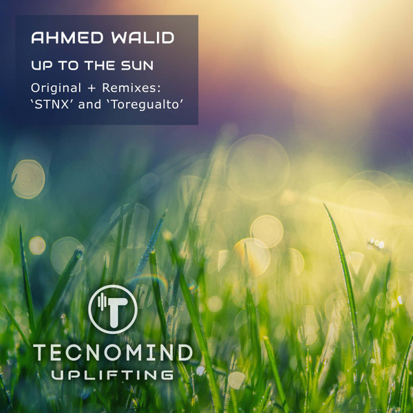Up To The Sun