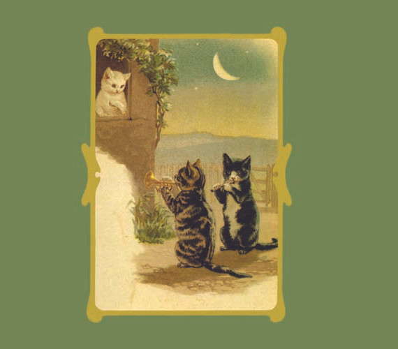 L'affannoso Respiro Del Gatto