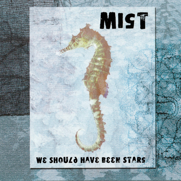 We Should Have Been Stars