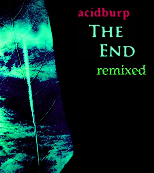 The End Remixed