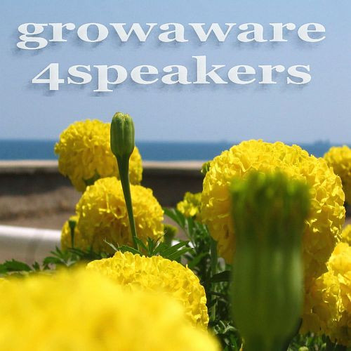 Wemix 127 - Growaware 4speakers