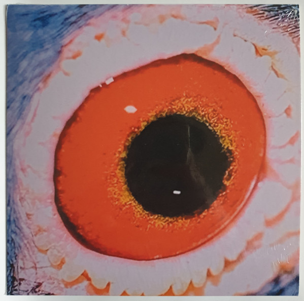 Taube / Brille