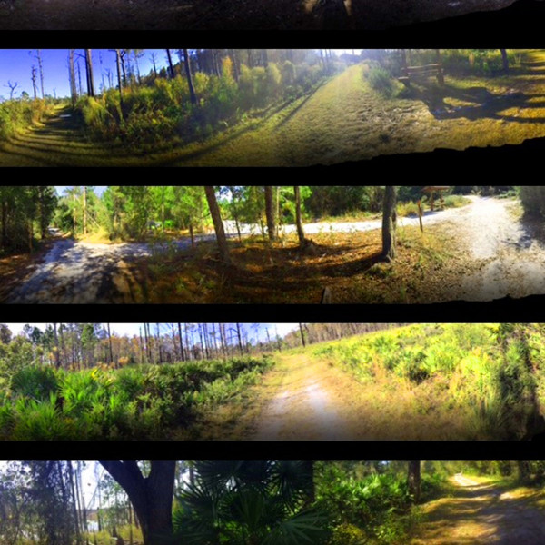 Local Forest EP