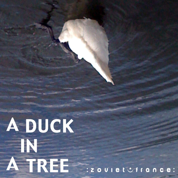 A Duck In A Tree 2012-08-04 | Swallowing A Bee