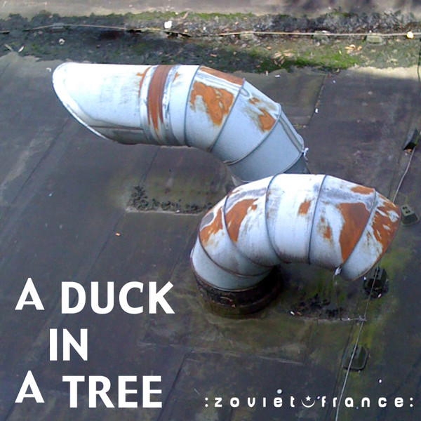 A Duck In A Tree 2012-08-11 | Written On Seven Leaves With A Stalk Dipped In Sap