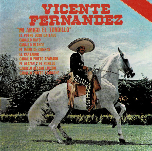 Mi Amigo El Tordillo