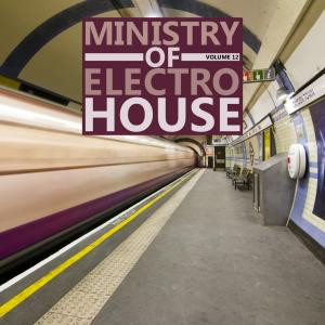 Ministry Of Electro House Volume 12