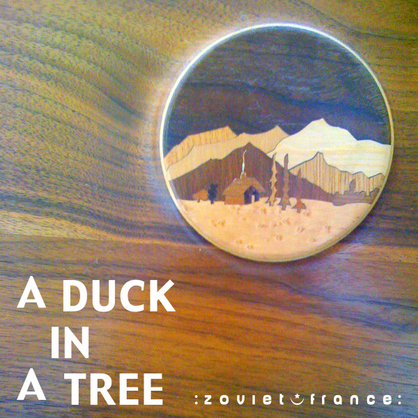 A Duck In A Tree 2012-09-08 | Near Away And Further To Far