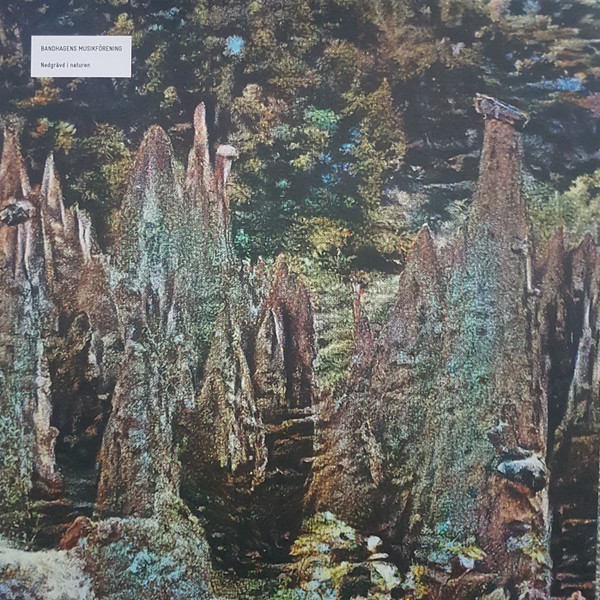 Nedgrävd I Naturen