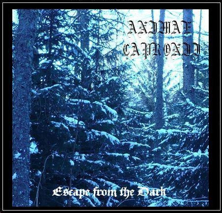 Escape From The Dark