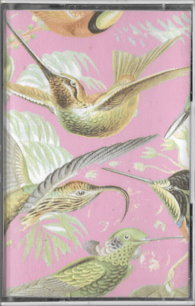 Peruvian Birds