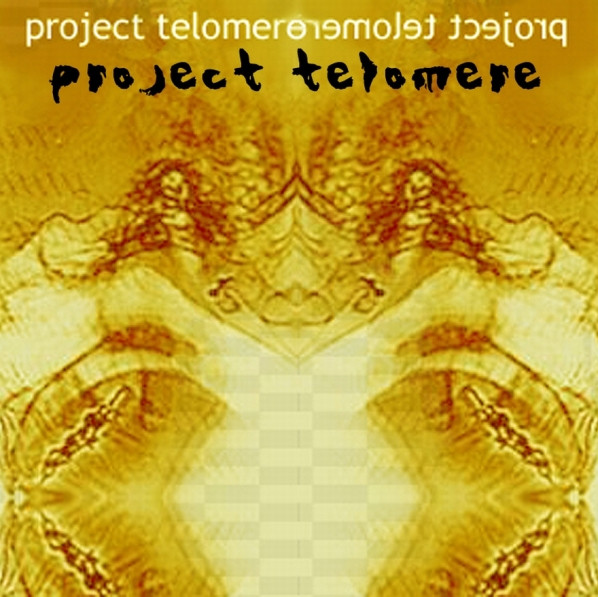 Project Telomere
