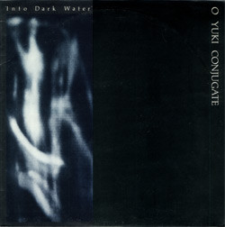 Into Dark Water