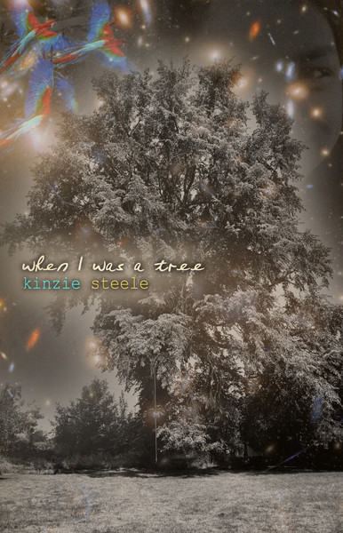 When I Was A Tree