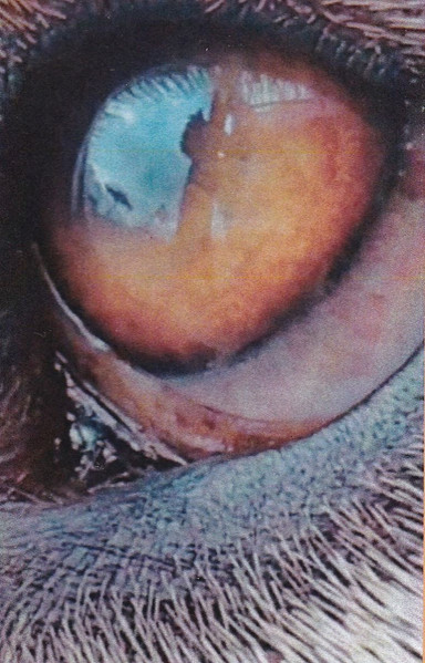 Permaculturaumana