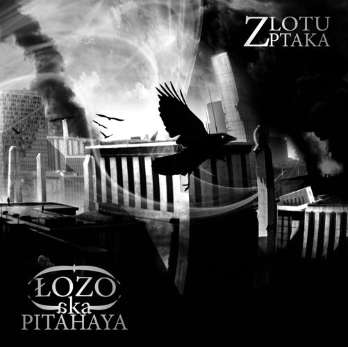 Z Lotu Ptaka