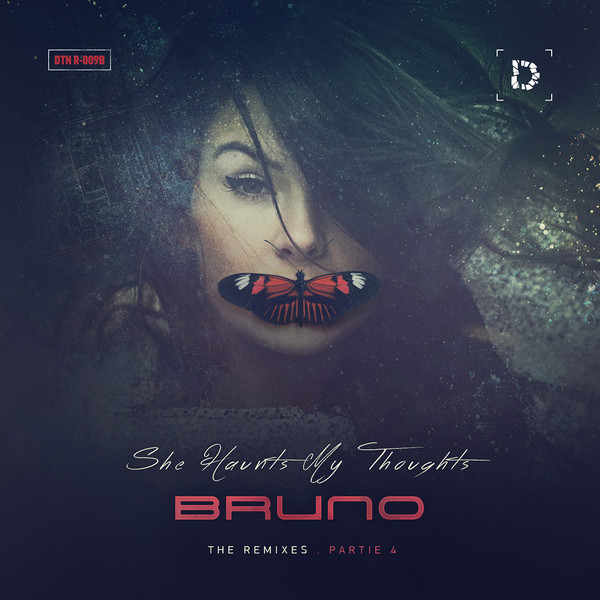 She Haunts My Thoughts - The Remixes . Partie 4