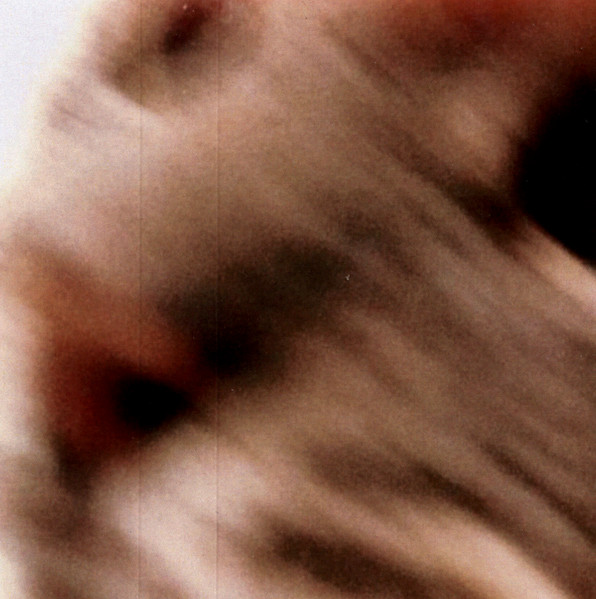 Some Cat Songs