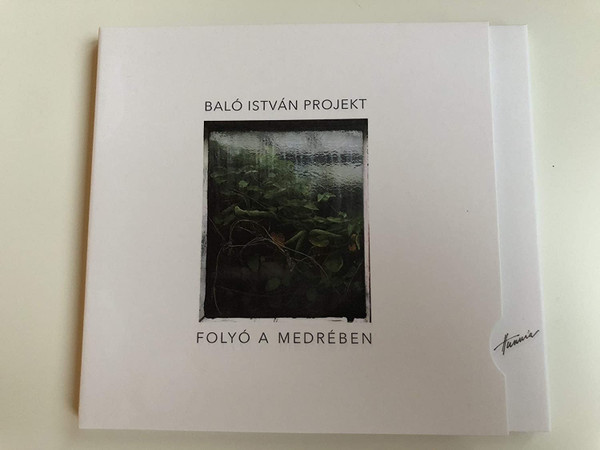 Folyó A Medrében