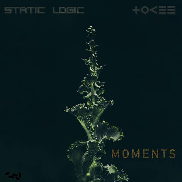 Moments