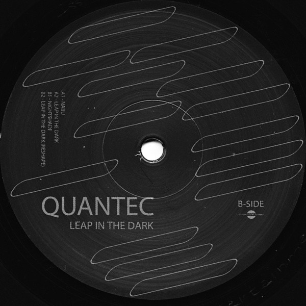 Leap In The Dark