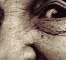 Bubbemeises: Lies My Gramma Told Me