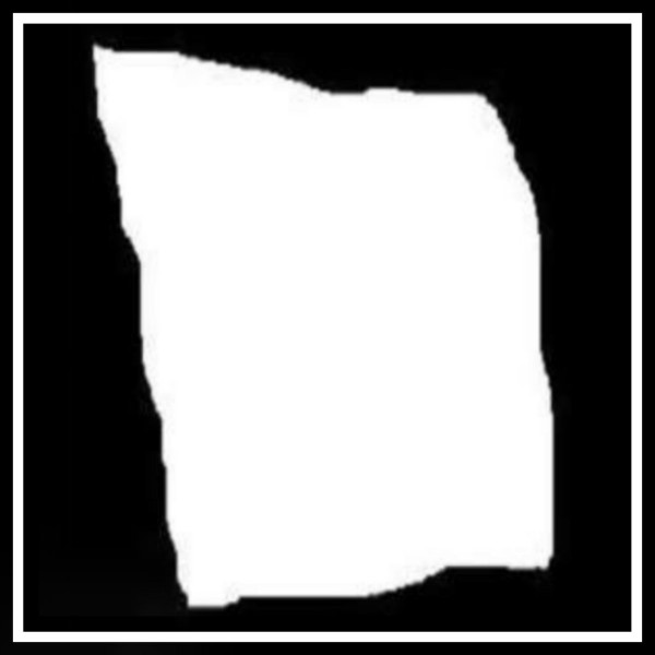 White Bag