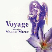 Voyage Sans Retour