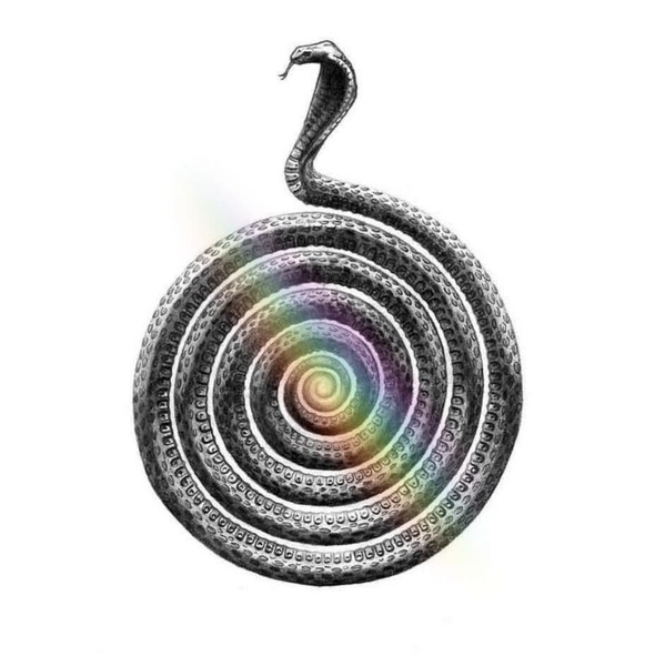 Rainbow and the Serpent