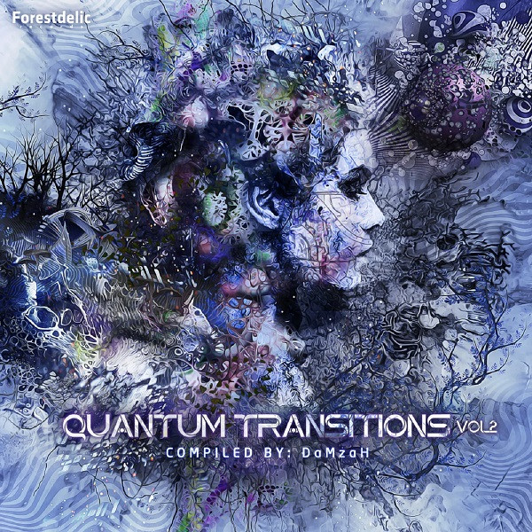 Quantum Transitions - Vol.2